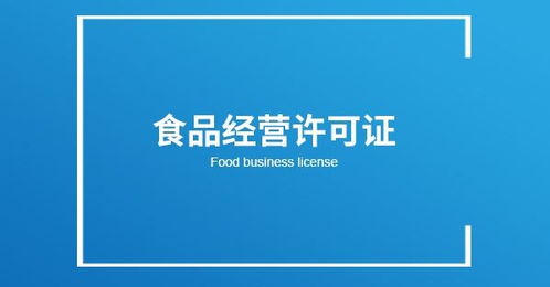 阜陽界首市人力資源服務許可證辦理全流程詳解與實力保障